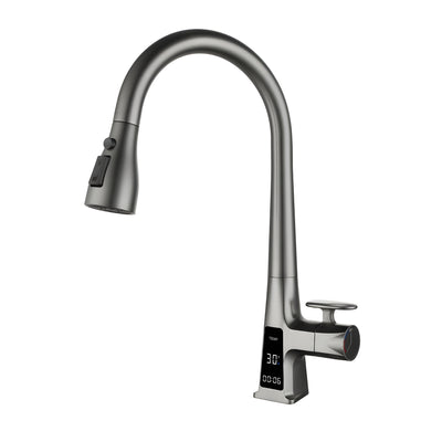 Davor classic Pull-Out Kitchen Faucet with Temperature Display-DKF2401