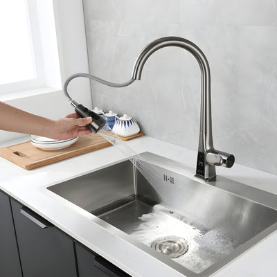 Davor classic Pull-Out Kitchen Faucet with Temperature Display-DKF2401